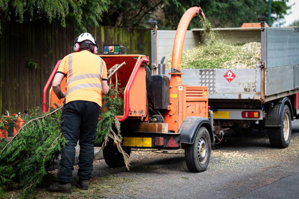 Tree Removal for Businesses in Northville, NY